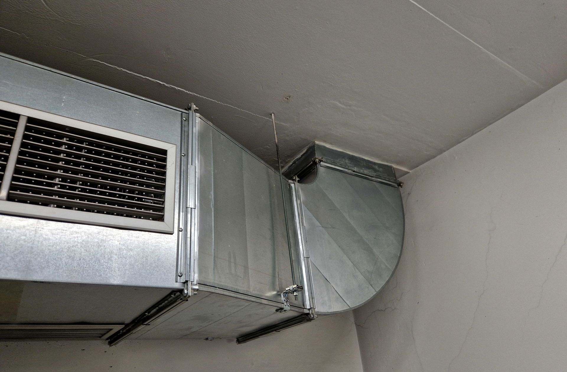 Insetti marroni sparsi su una superficie azzurra e bianca.