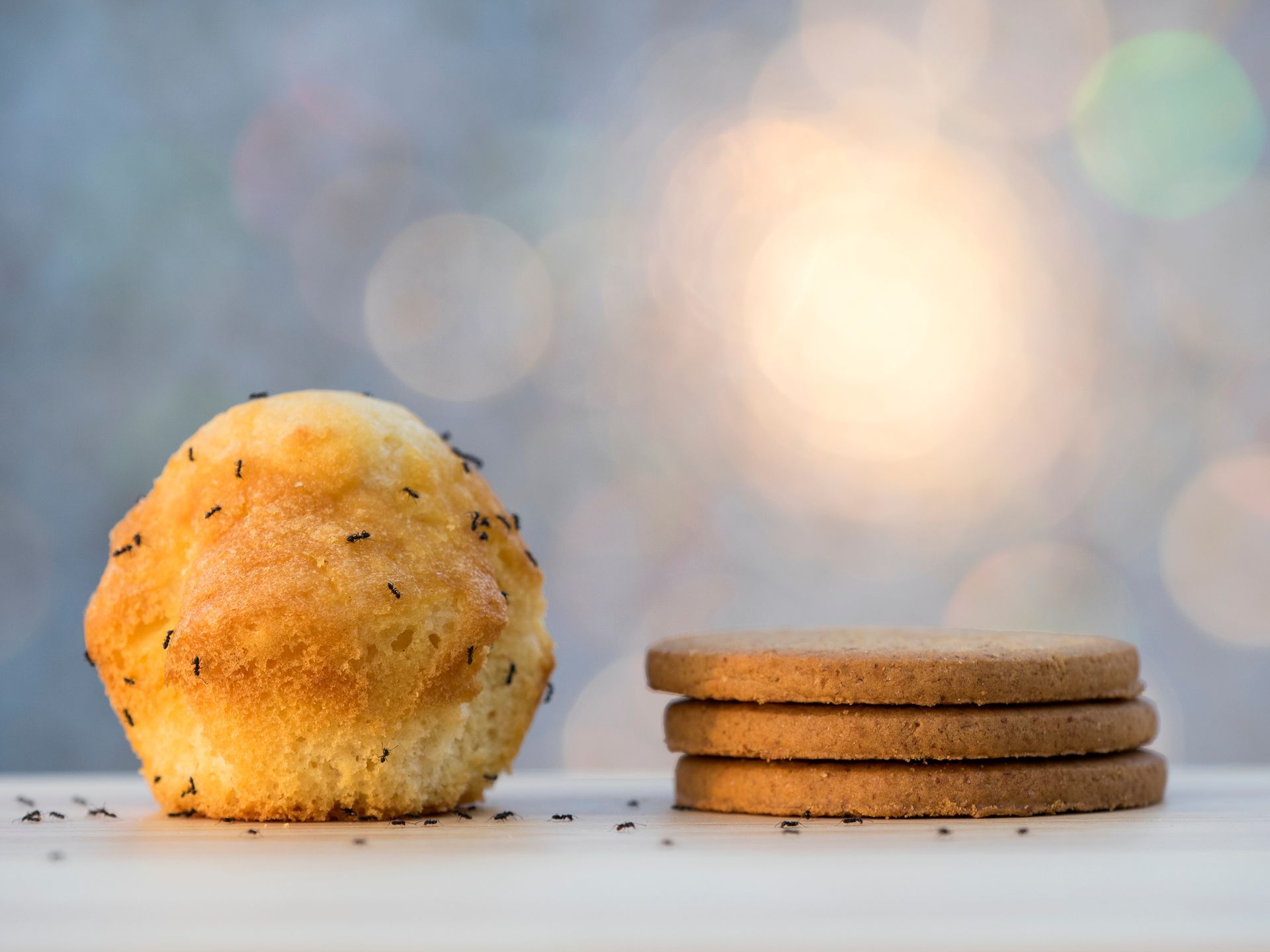 Muffin con semi e pila di biscotti rotondi su una superficie di legno, sfondo morbido con effetto bokeh.