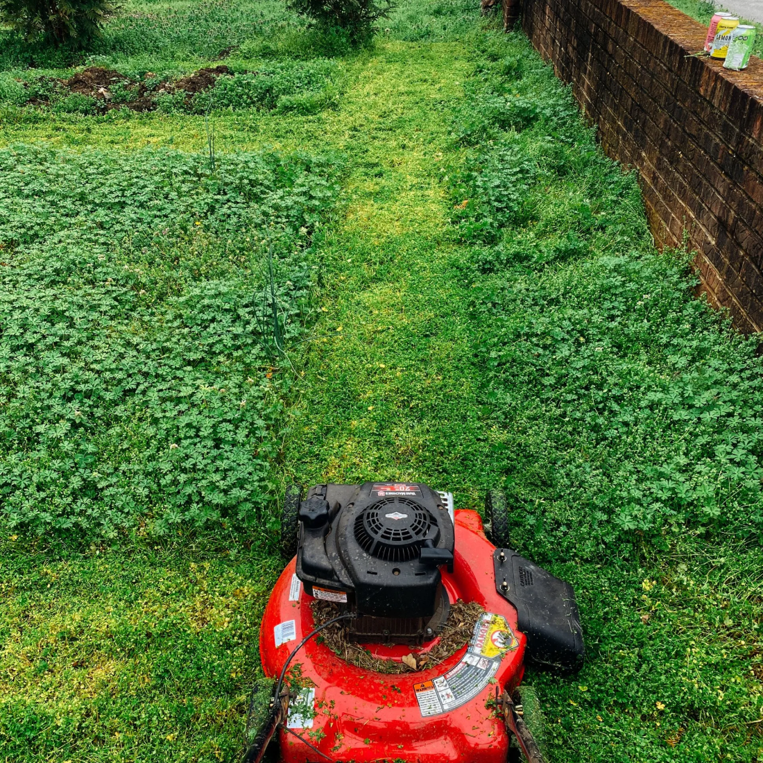 Un tosaerba rosso che si fa strada in un cortile verde e incolto, accanto a un muro di mattoni.