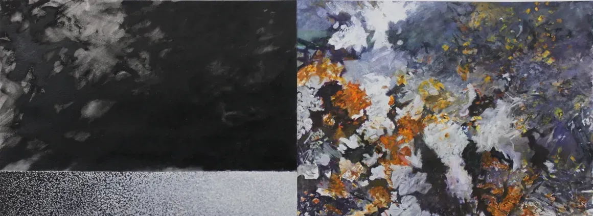 Lichen Space (2022)