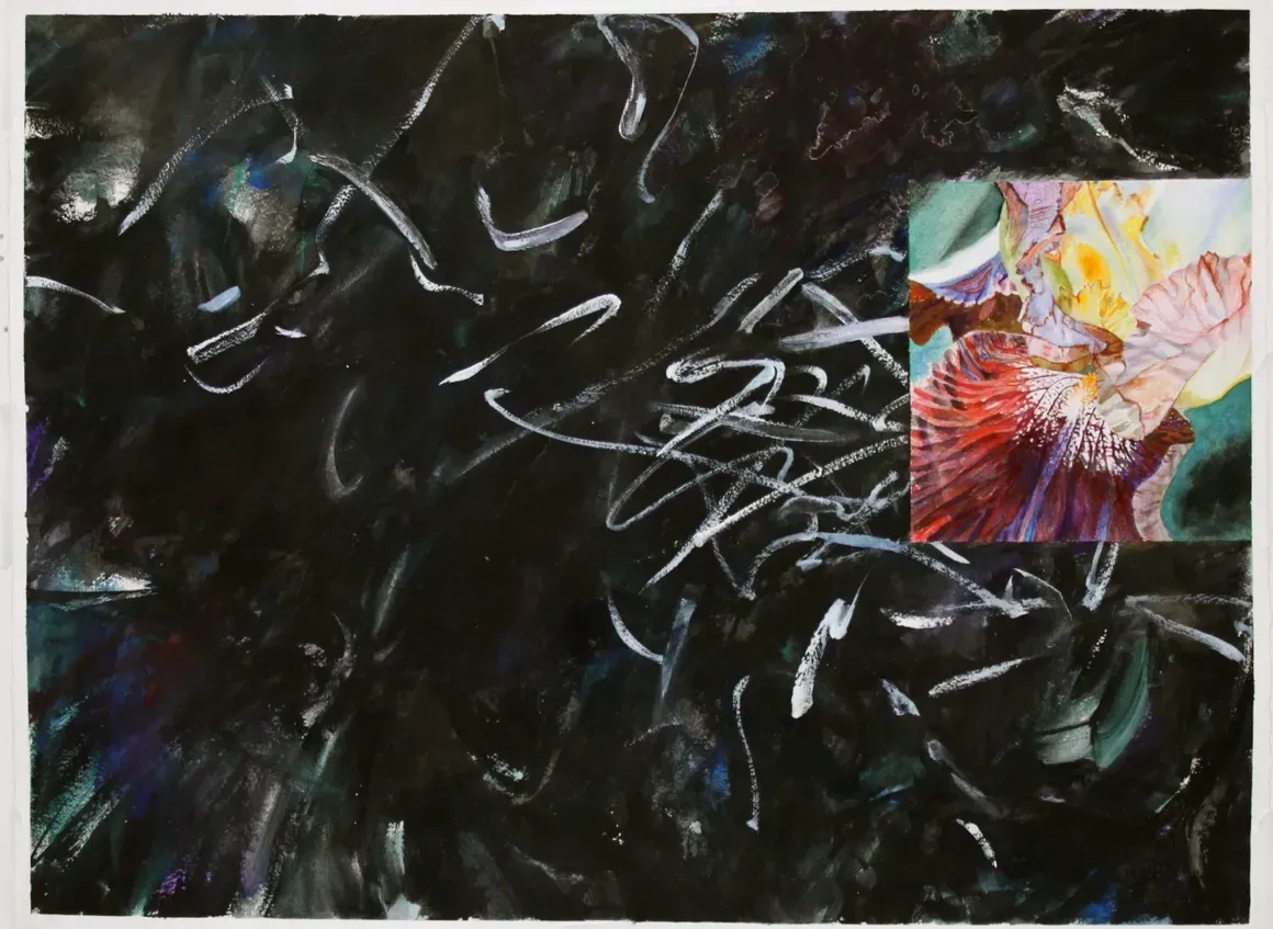 Light Equation (2019)
