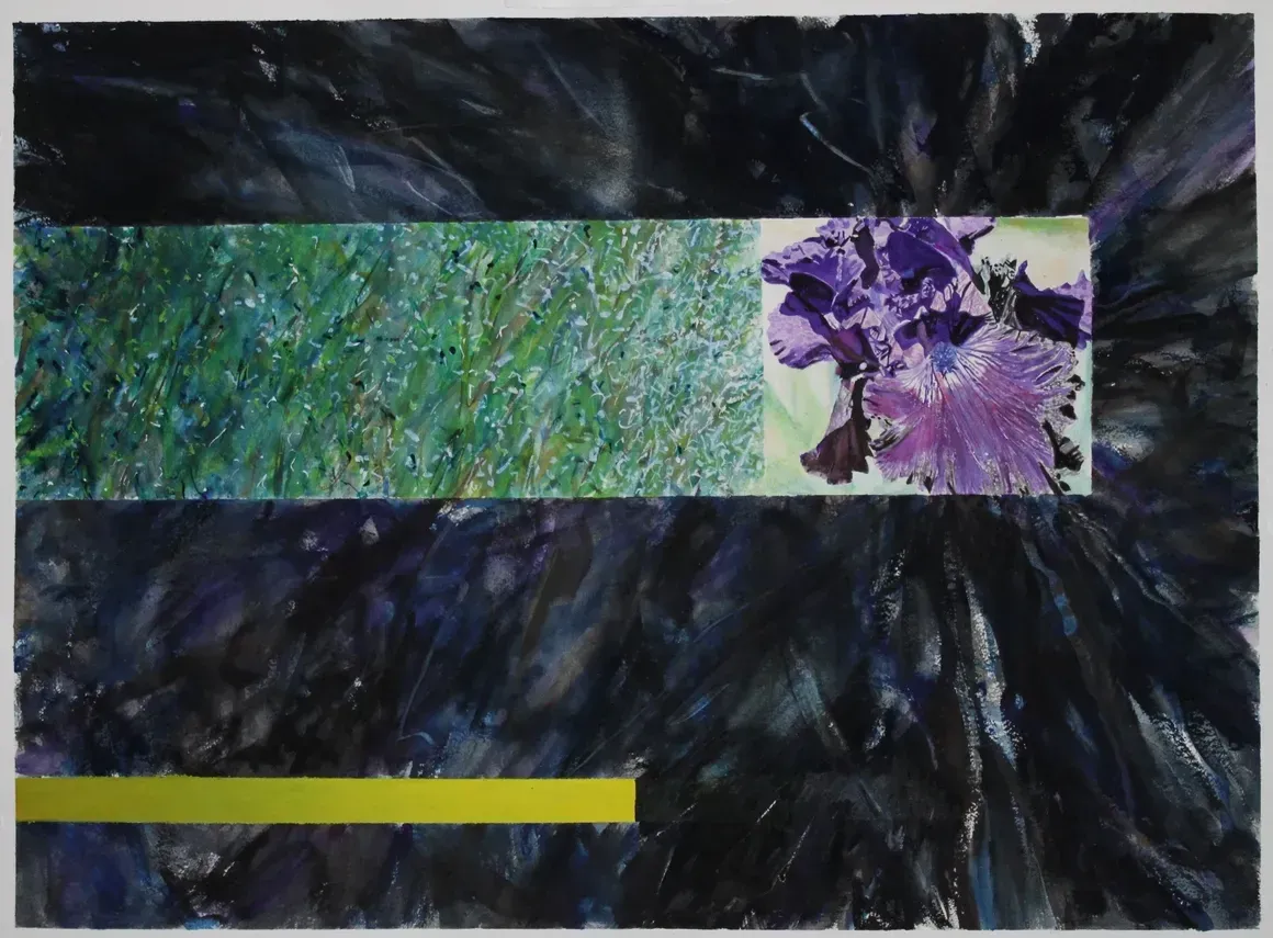 Black Track Lichen (2019)