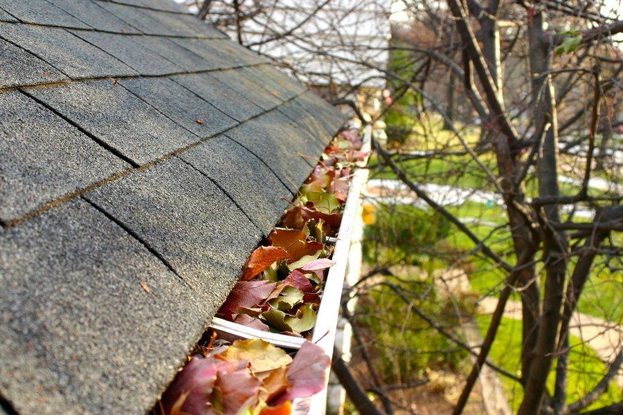 Gutter filled with leaves