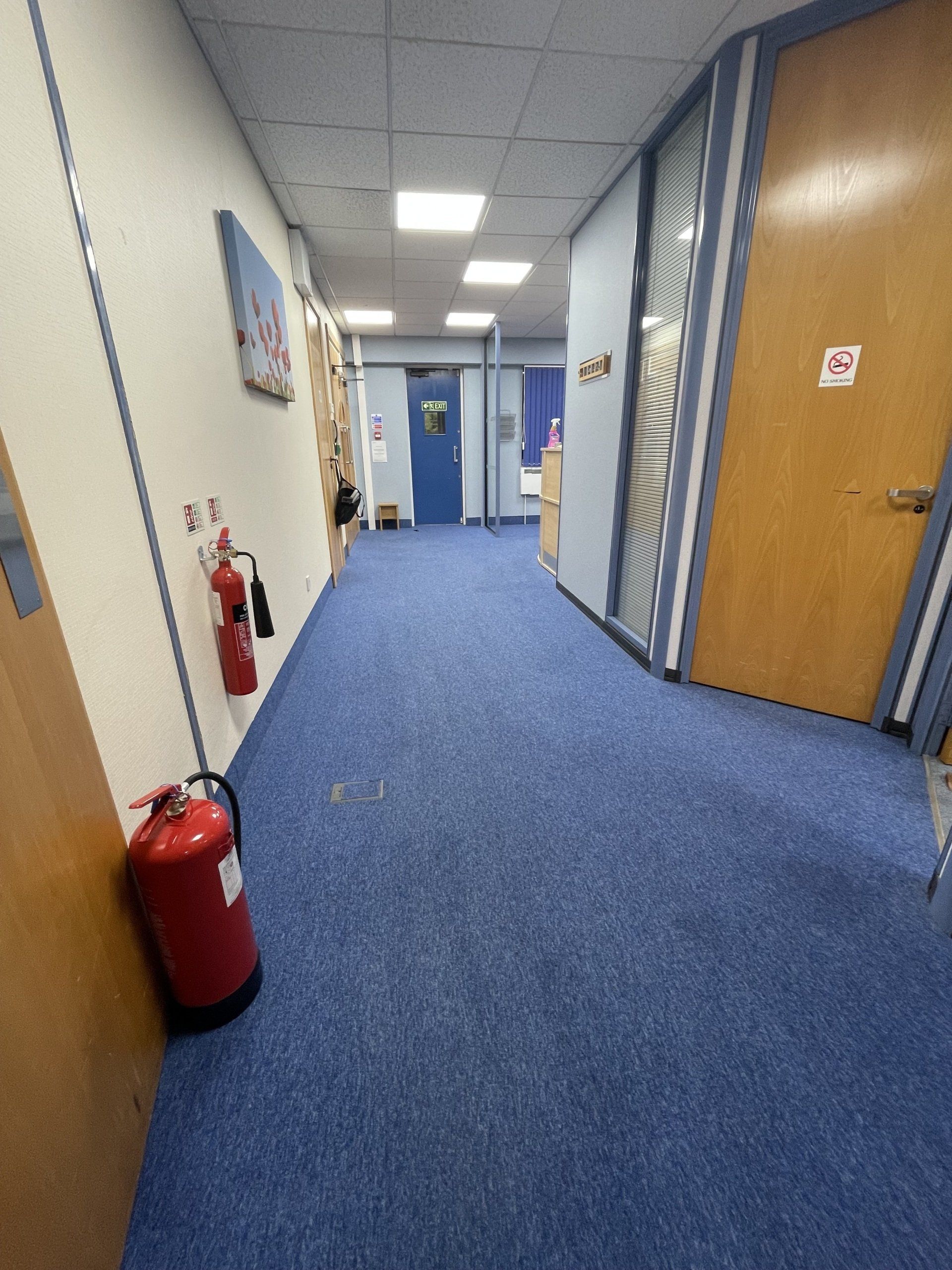 Hallway after carpet clean