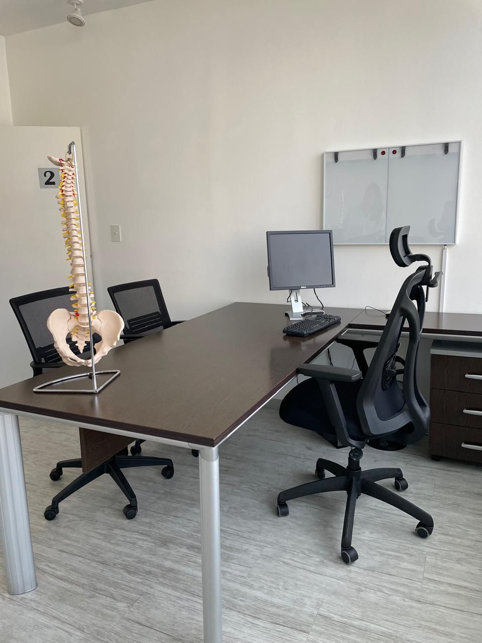 Una habitación con un escritorio, sillas, una computadora y un modelo de una columna vertebral.
