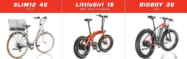 Biciclette elettriche - Lido dei Pini - La Bicicletta