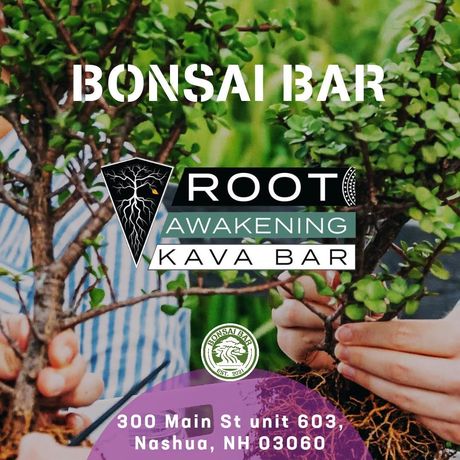 Bonsai Bar — Nashua, NH — Root Awakening Kava Bar