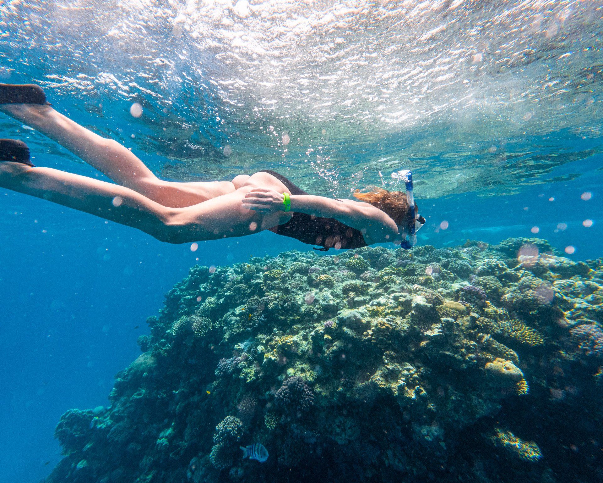 Snorkeling