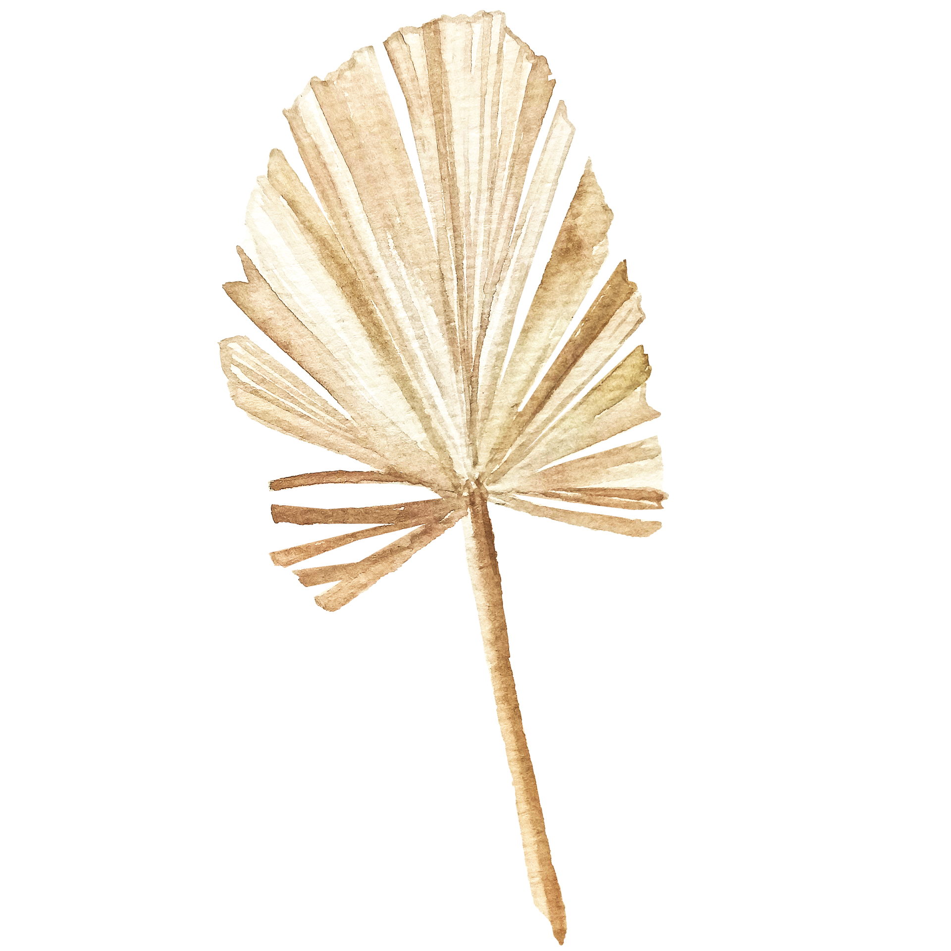 Watercolor illustration of a dried palm leaf, in beige and tan tones, with a long stem.