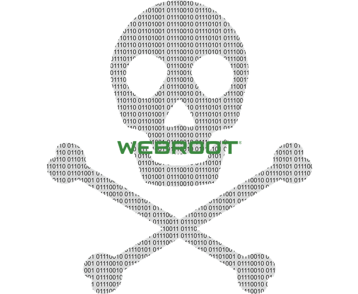 a skull and crossbones made out of binary code