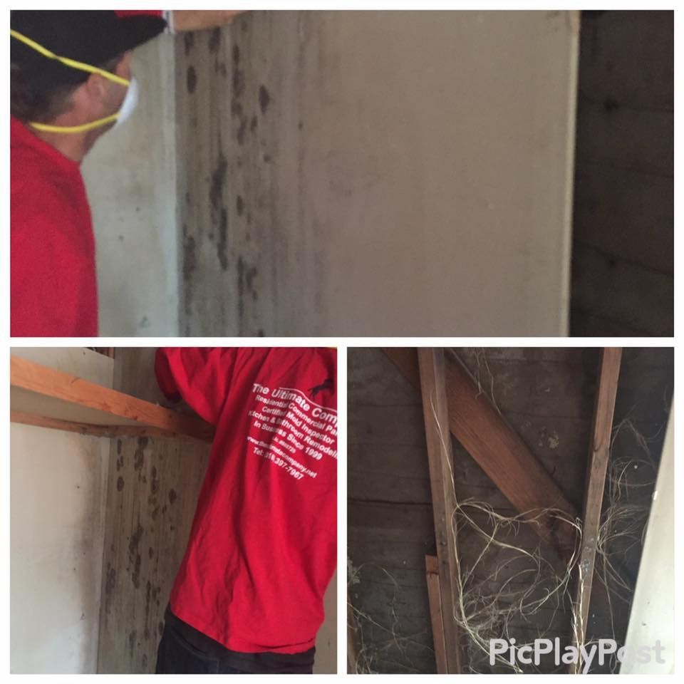 Person in red shirt inspecting a mold-covered wall in a room.