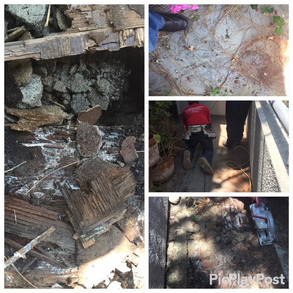Decomposed wood, person inspecting, and sunlit outdoor space. Damage and repair work shown.