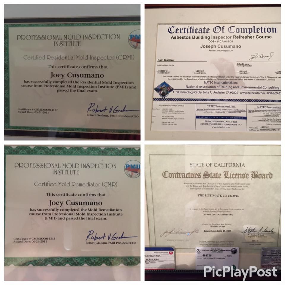 Certificates for Joey Cusumano including mold inspection and contractor licenses.
