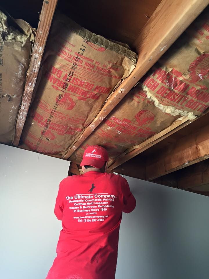 Man in red shirt installing drywall on a ceiling with exposed insulation.