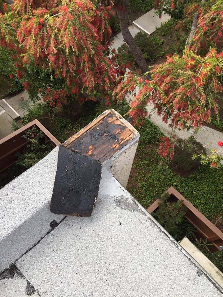 A black asphalt shingle sits next to a weathered roof corner. Green vegetation and trees are in the background.