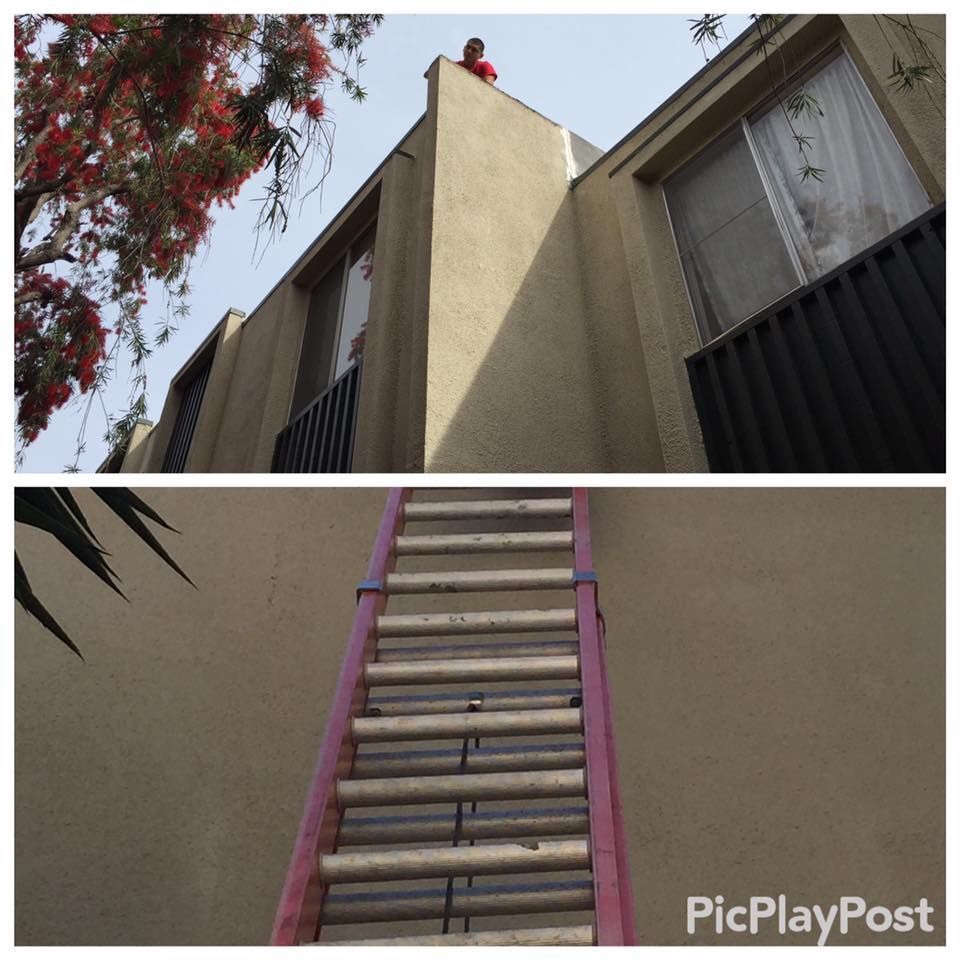 Person on a building roof with a ladder against the wall.