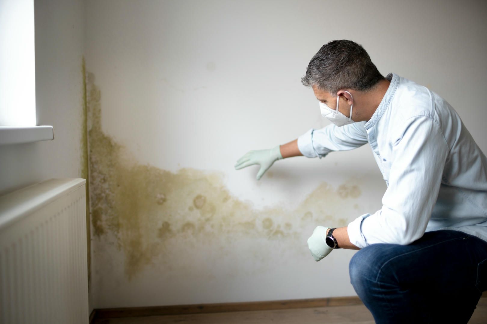 Man in mask and gloves inspecting mold on a wall.