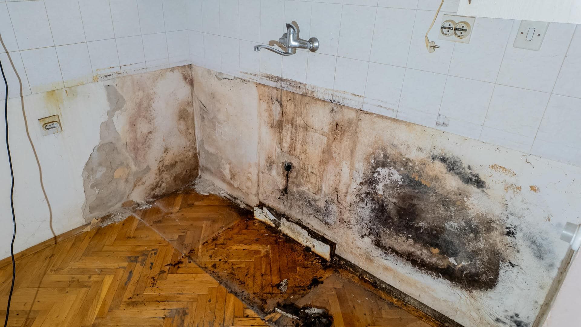 Mold-infested kitchen corner with damaged walls, brown and black discoloration, and water fixture.