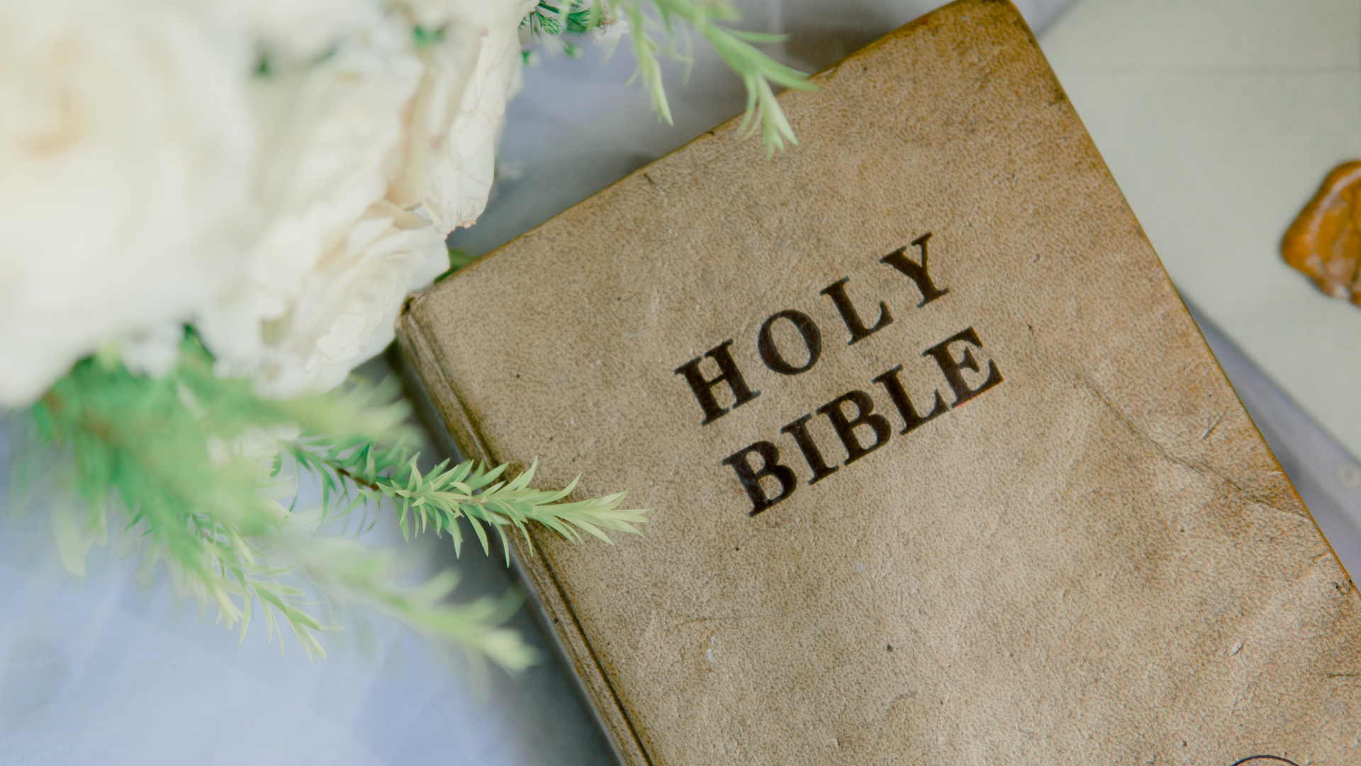 A holy bible is sitting on a table next to a flower.