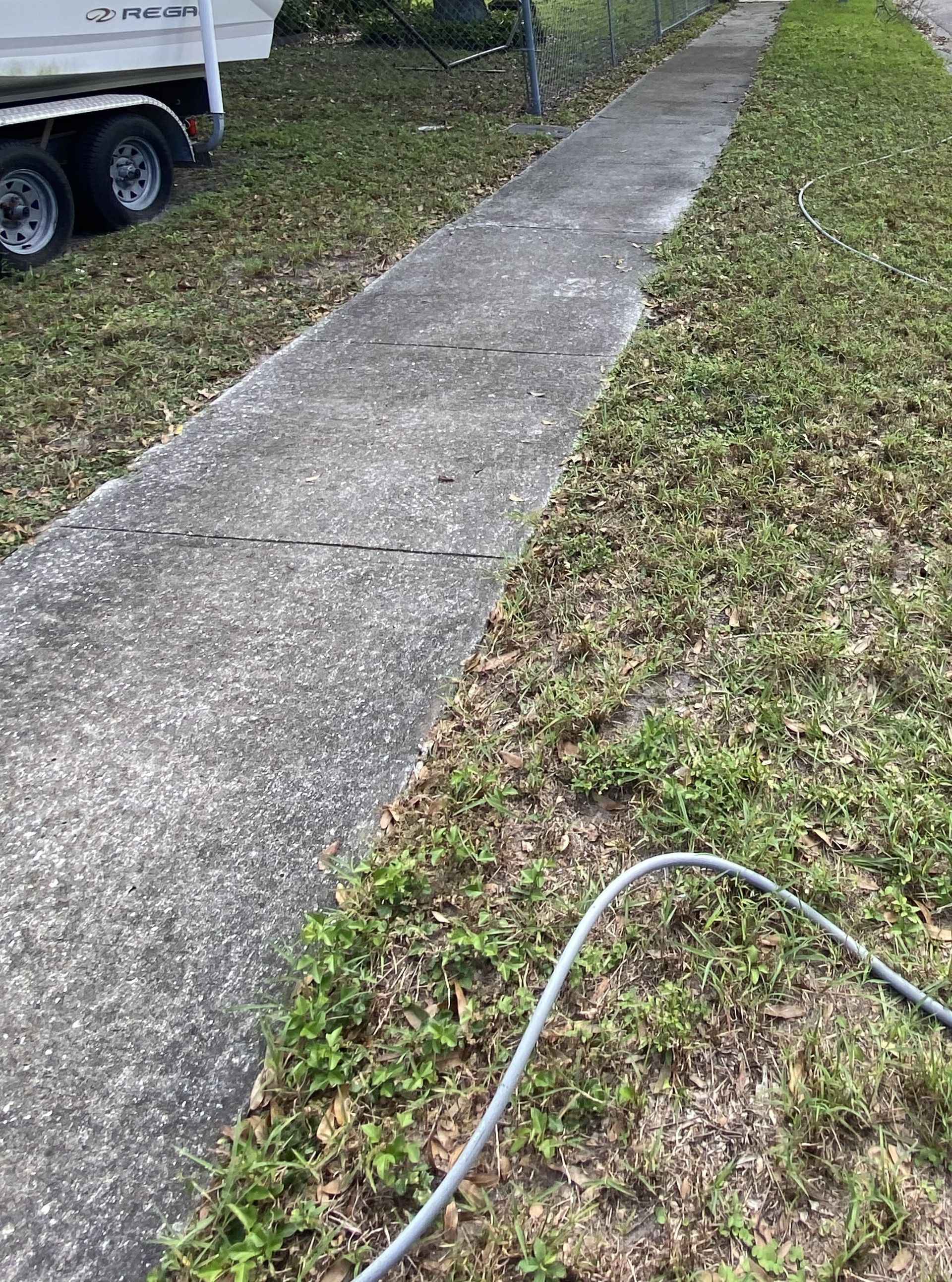 A concrete sidewalk surrounded by overgrown grass, with a boat trailer on the left and a hose in the foreground.