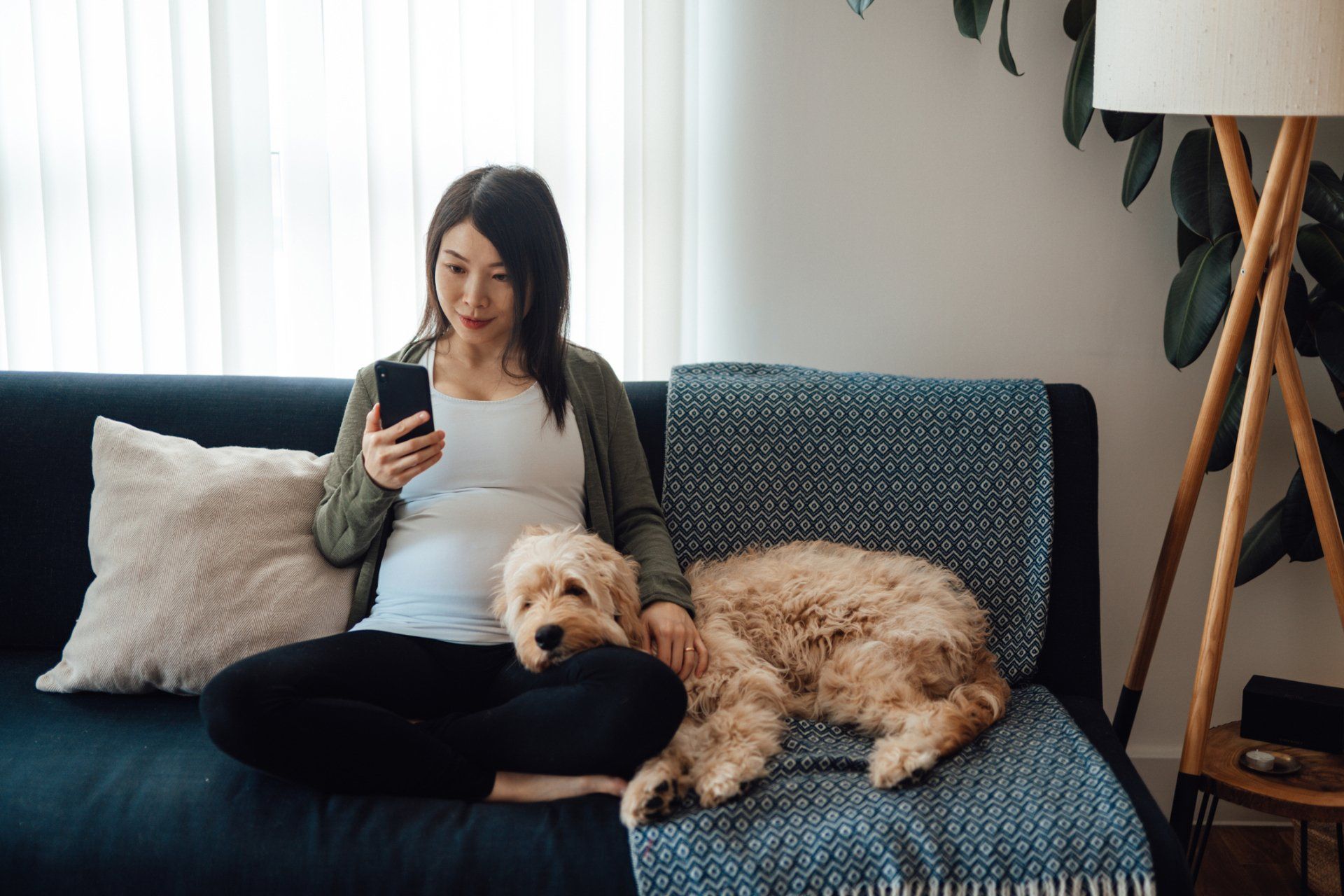 Get started ━ Boca Raton, FL ━ The Mold Inspector