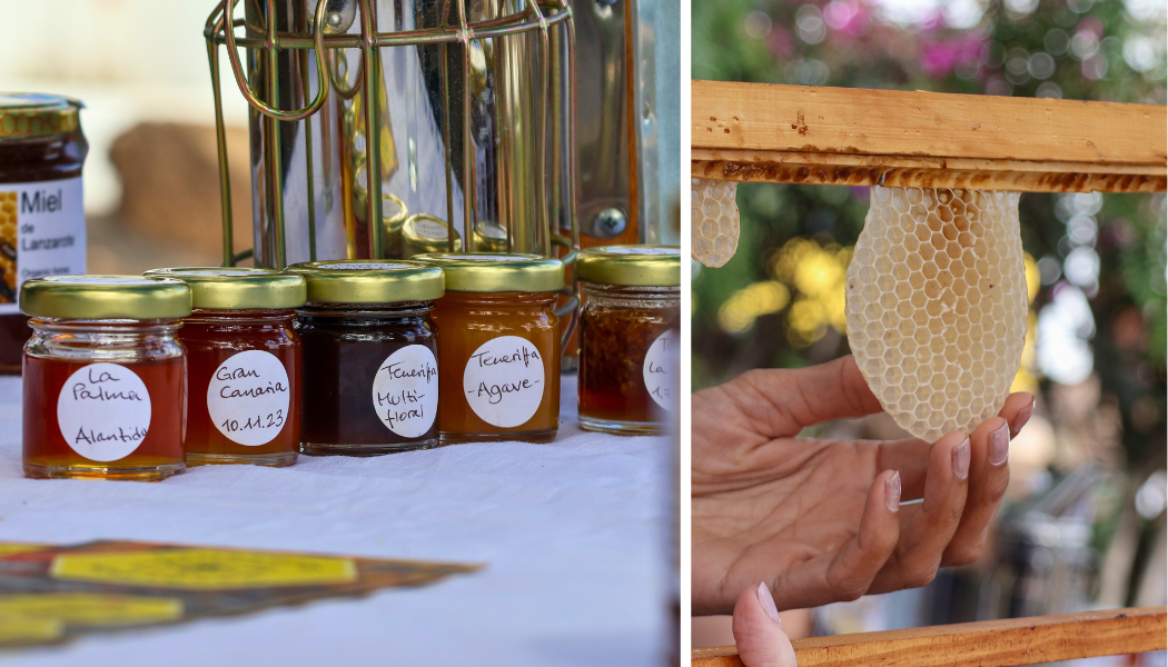 A selection of various Canarian honey samples