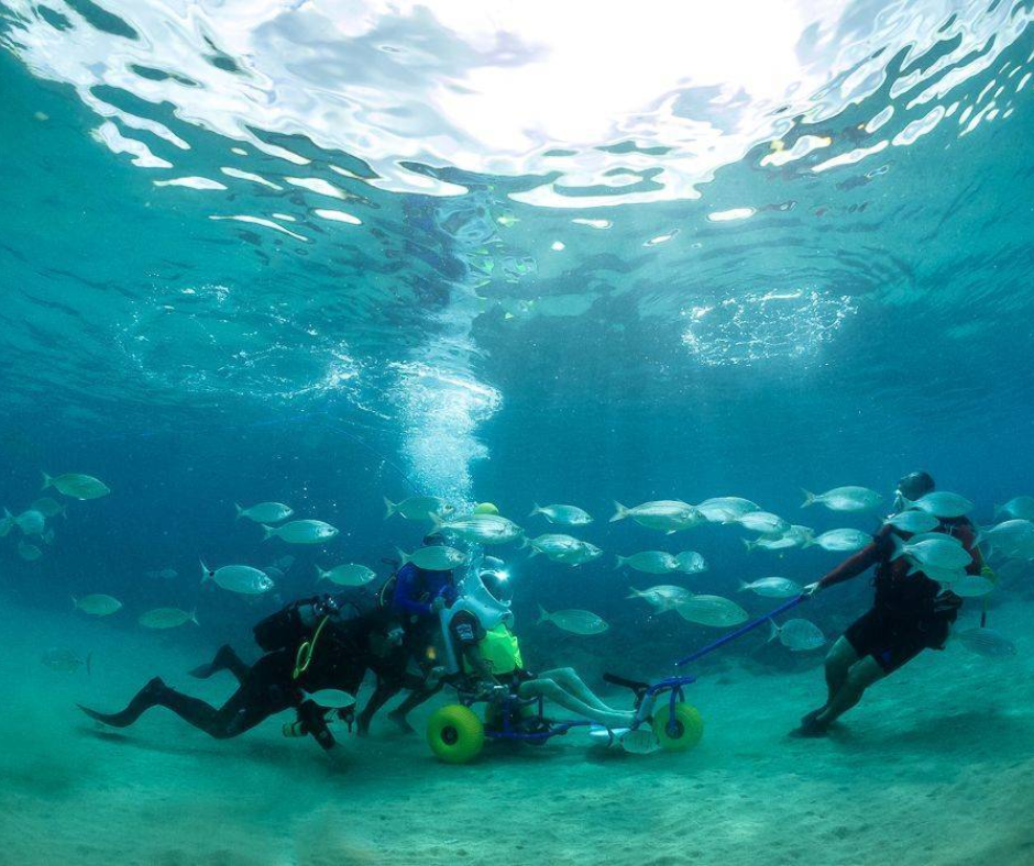 A person in a wheelchair is being pulled underwater by divers