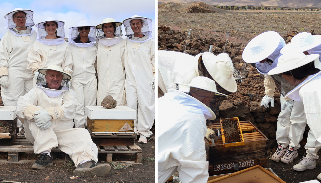 Crazy David and an exclusive group of beehive visitors