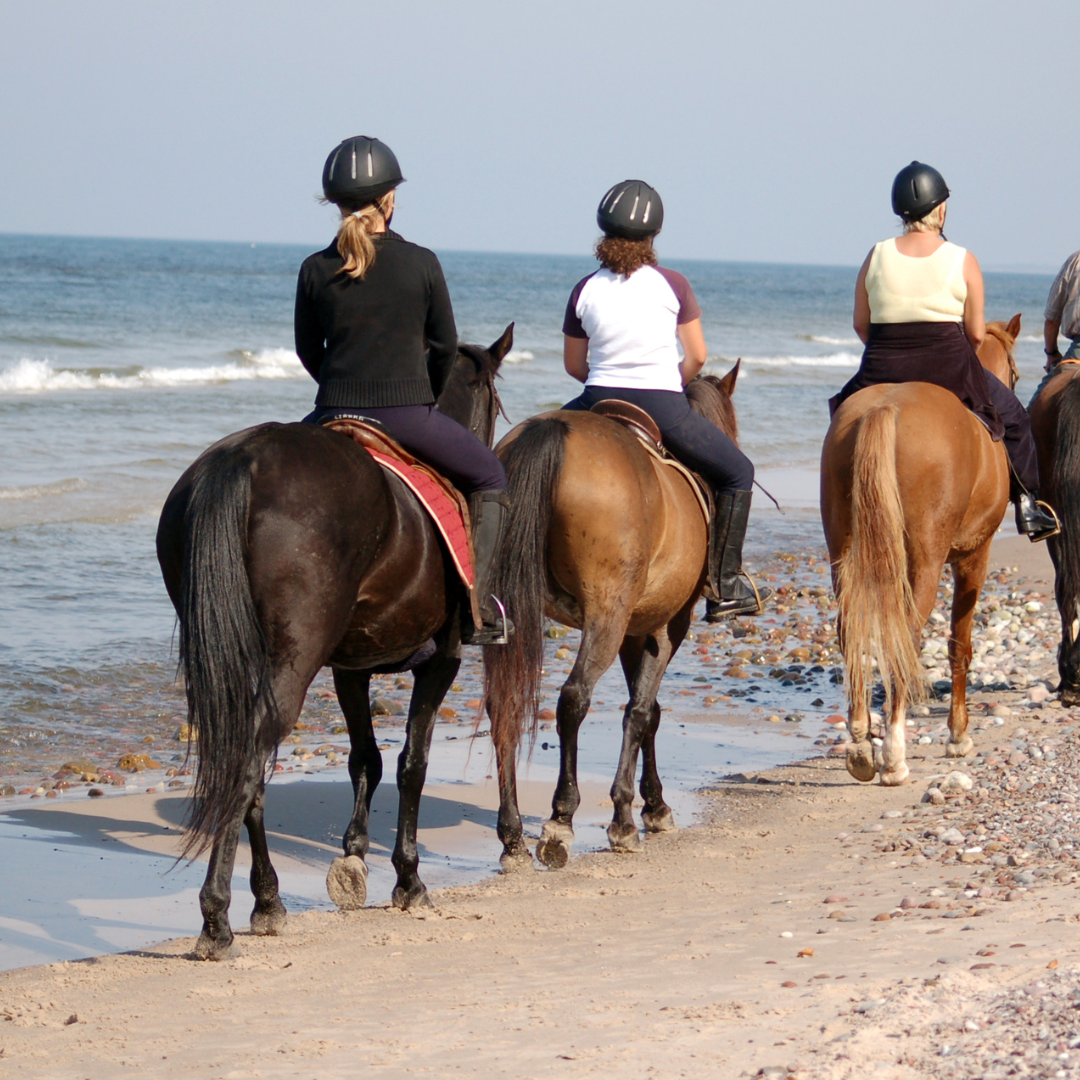 Horse riding on the beach in Lanzarote