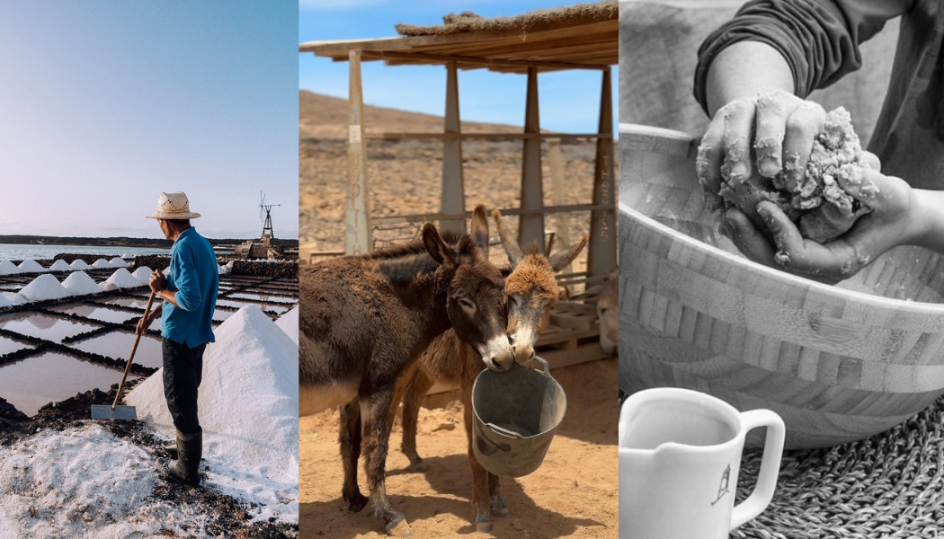 Person working at the saltworks, donkeys, person making gofio
