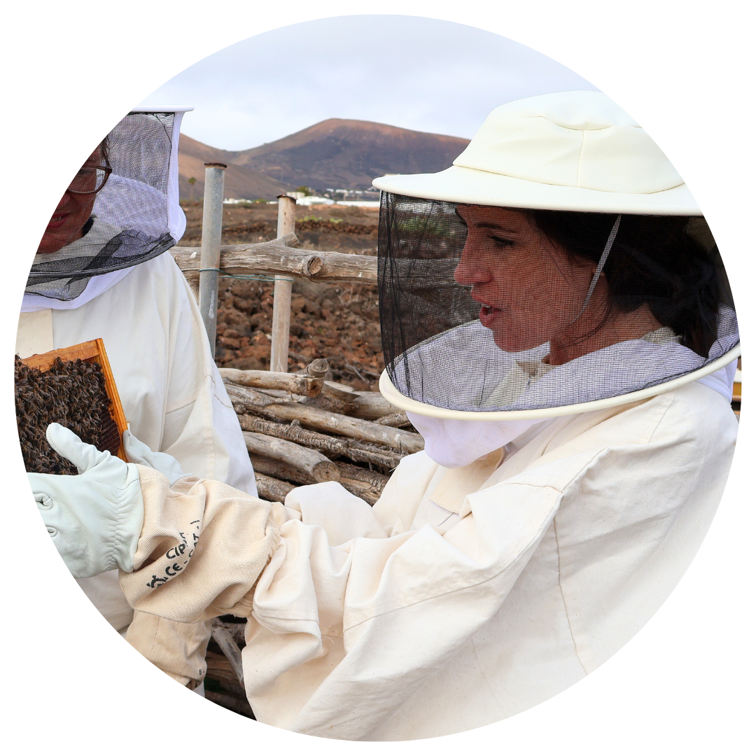 Two beekeepers are looking at a honeycomb in a circle.