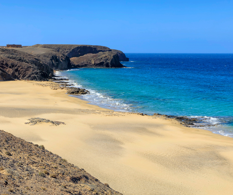 A sandy beach with a blue ocean in the background