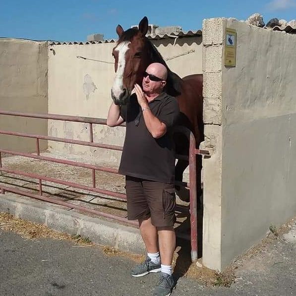 interacting with a horse