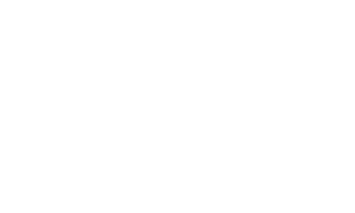 Nesh Design and media logo