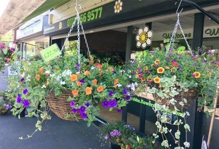 hanging baskets