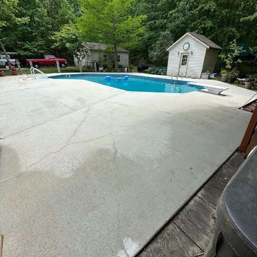 A large swimming pool is surrounded by trees and a shed.