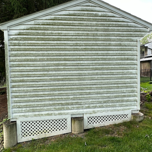 A white shed is sitting in the grass next to a house.
