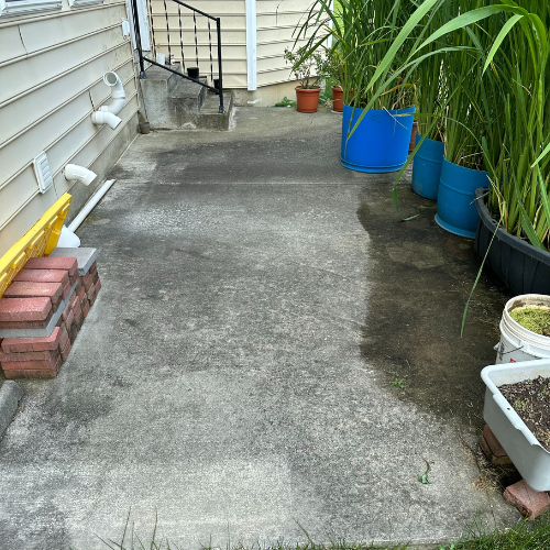 A concrete walkway surrounded by potted plants and bricks