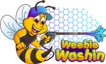 weebien washin 