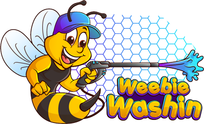 weebien washin 