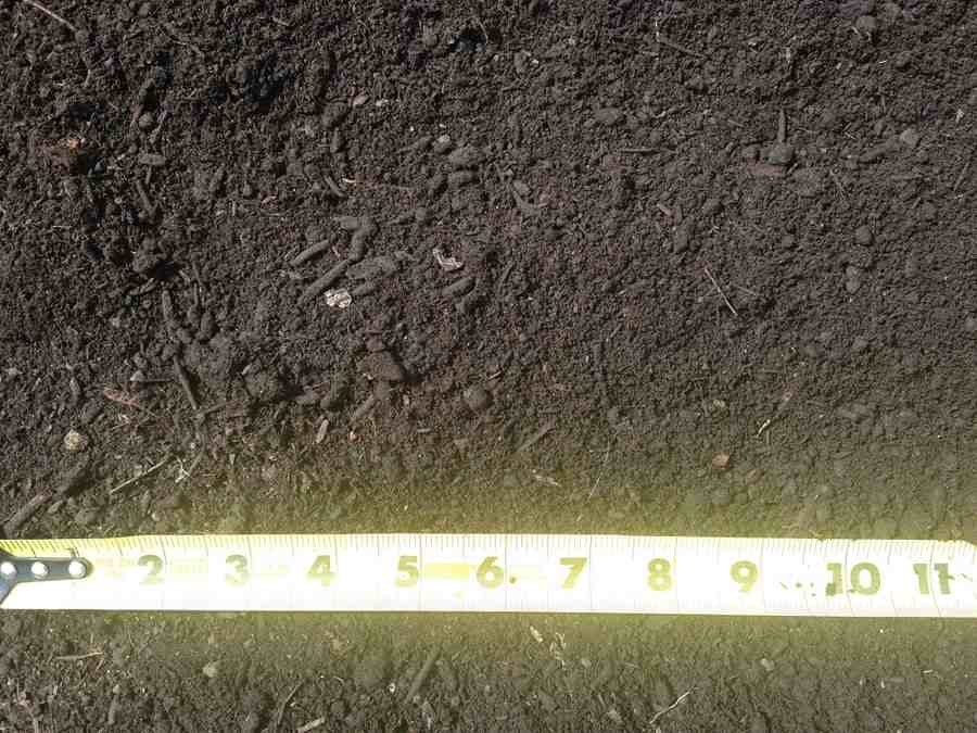 Stockton — Black Eco Mulch (True Compost) — Stockton, CA