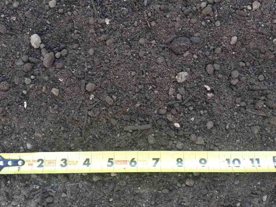 San Joaquin Valley — Garden Mix —  Stockton, CA