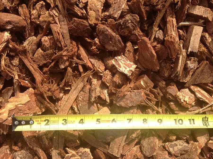 United States — Medium Bark @ 1½-inch — Stockton, CA