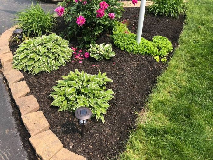 Beautiful Landscaped — Indianapolis, IN — Pinpoint Services Indy LLC