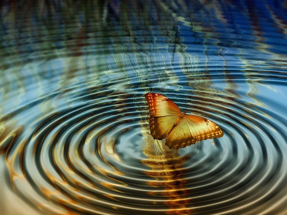 Een vlinder zit op een rimpeling in het water. wateropbaring. Overleden baby's.