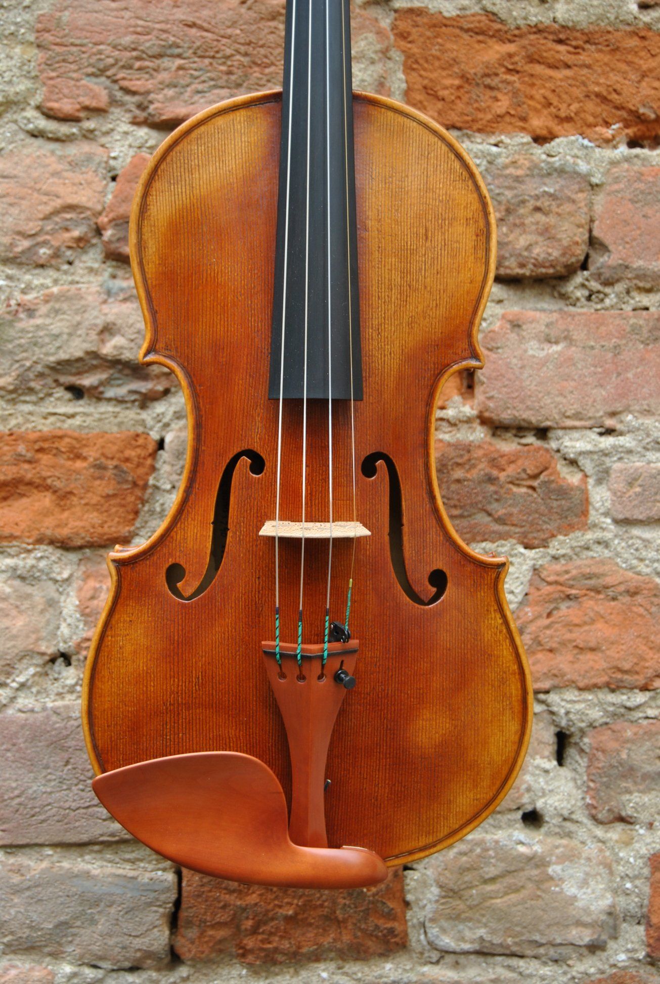 Violin Mina Mazzolari