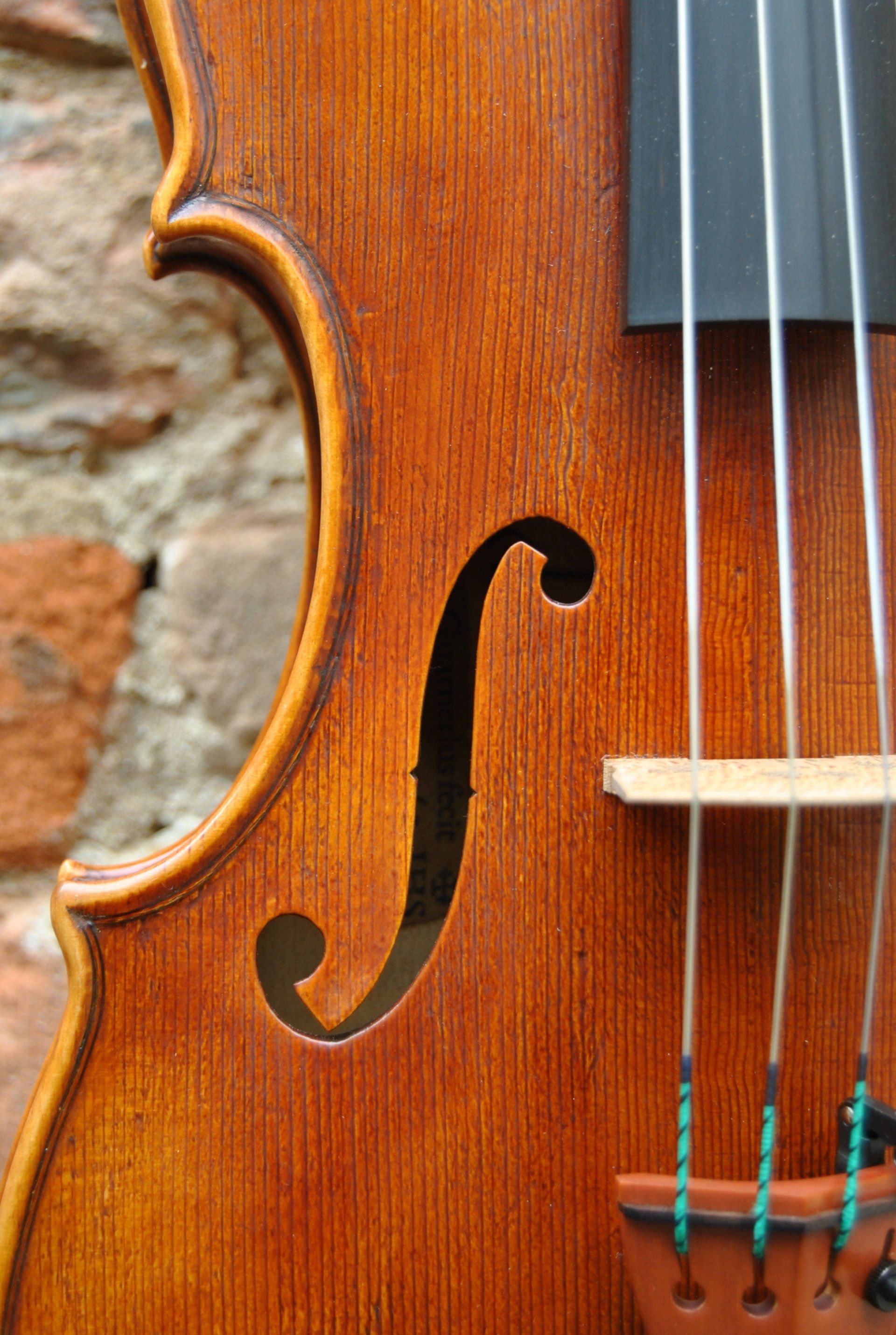 Violin Mina Mazzolari