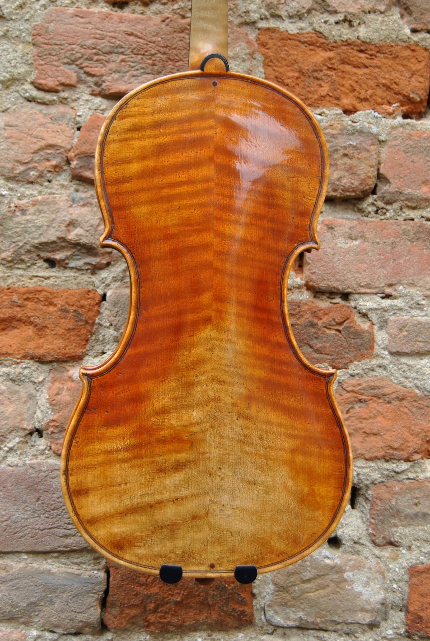 Violin Mina Mazzolari