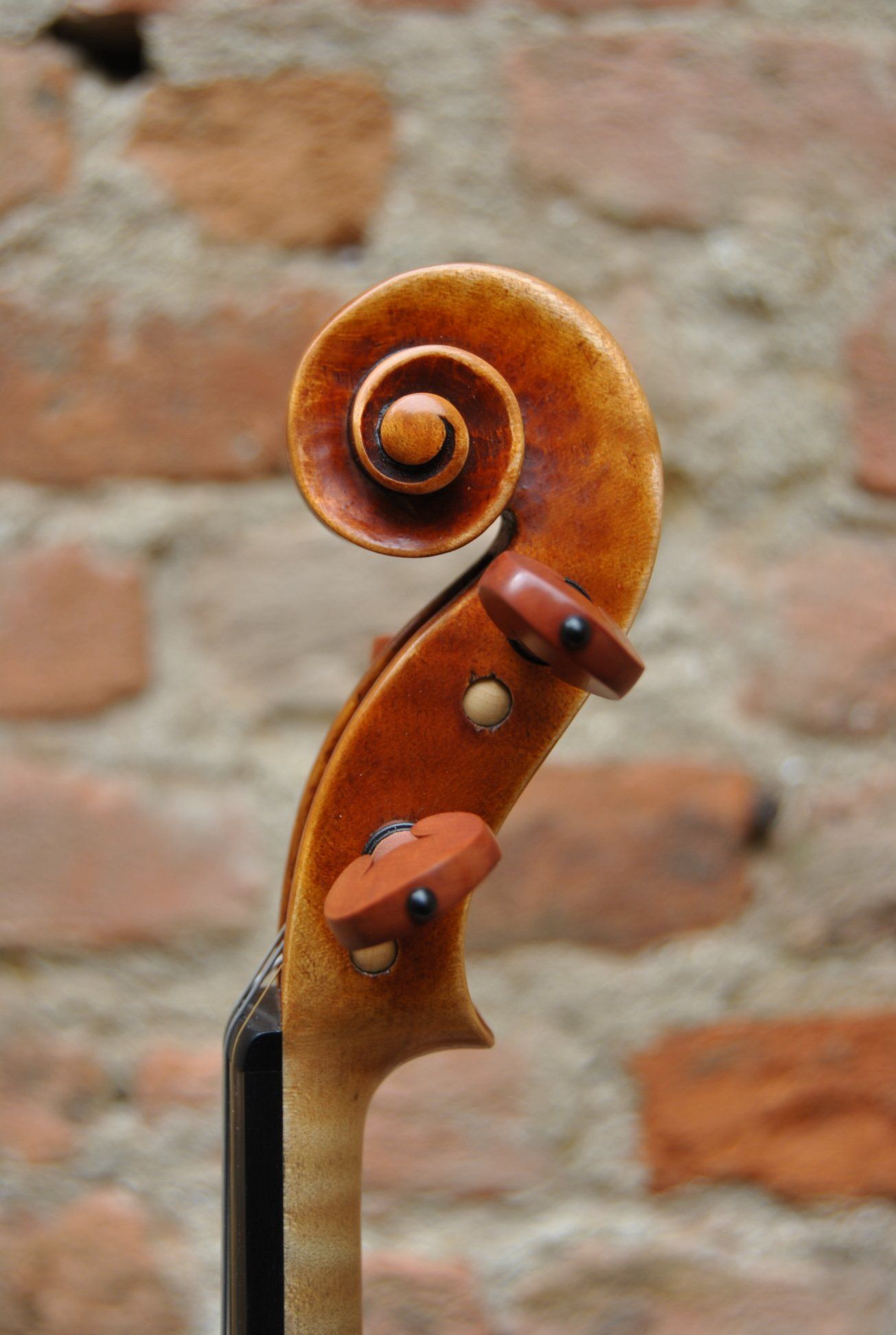 Violin Mina Mazzolari
