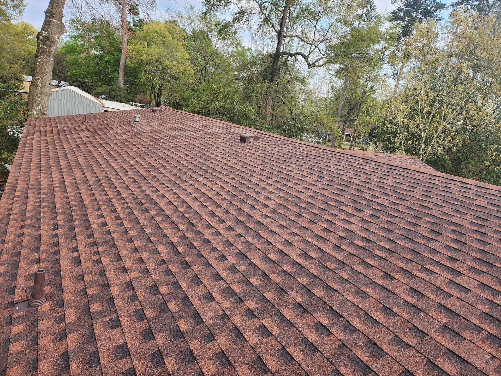 A roof with a lot of tiles on it is surrounded by trees.